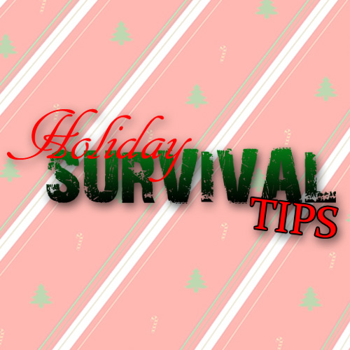 http://www.barebonesbiz.com/images/holiday-survival-tips.jpg